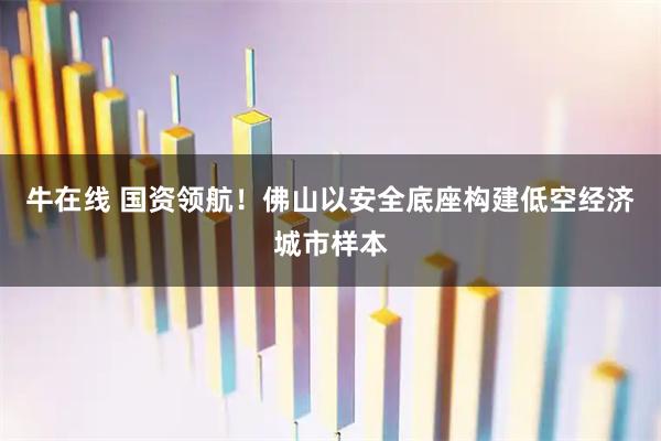 牛在线 国资领航！佛山以安全底座构建低空经济城市样本