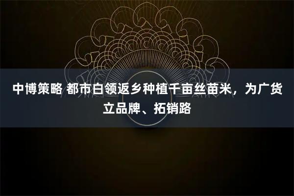 中博策略 都市白领返乡种植千亩丝苗米，为广货立品牌、拓销路