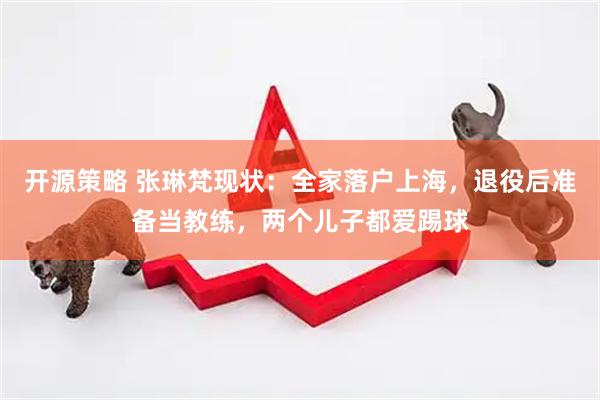 开源策略 张琳梵现状：全家落户上海，退役后准备当教练，两个儿子都爱踢球