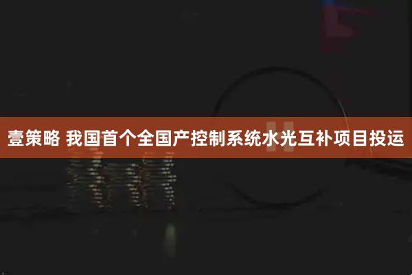 壹策略 我国首个全国产控制系统水光互补项目投运