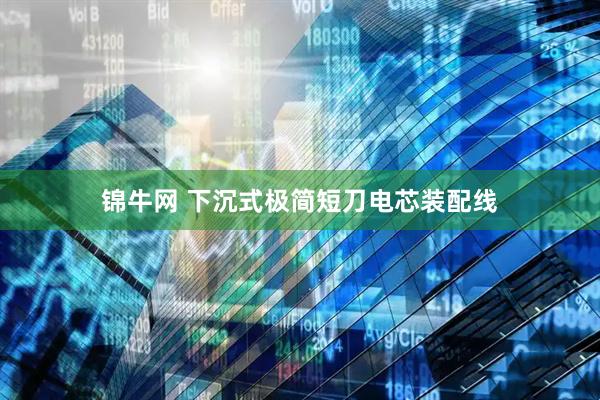 锦牛网 下沉式极简短刀电芯装配线