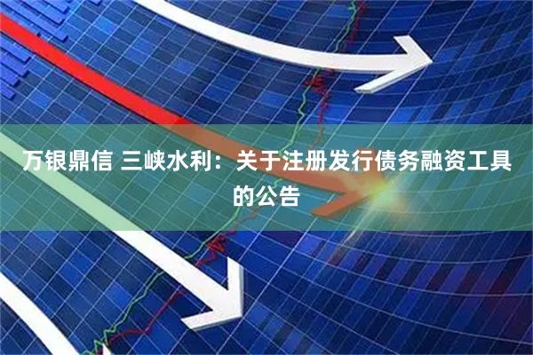 万银鼎信 三峡水利：关于注册发行债务融资工具的公告